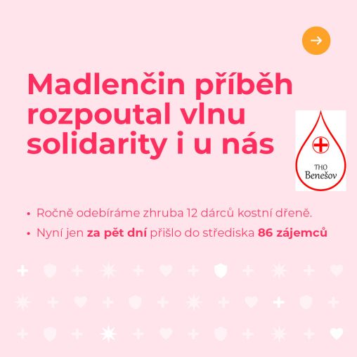 kostní dřeň