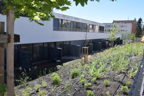 Okolí rehabilitačního centra se postupně mění v kvetoucí oázu